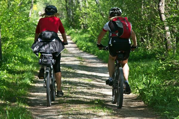 Bild vergrößern: Zwei Radfahrer auf dem Radweg im Wald