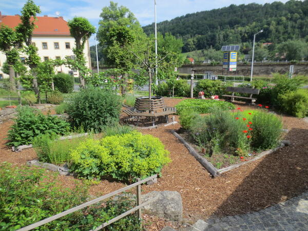Bild vergrößern: Bild des Biebelpflanzengarten in Königstein